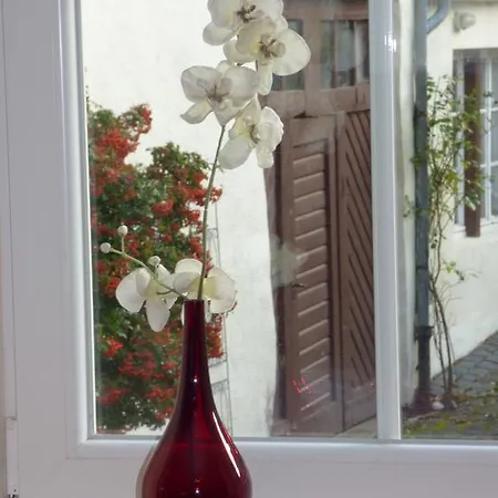 Vakantiehuis Mosel Ferienhaus *